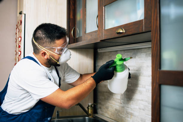 Best Pest Prevention Services  in Pleasant Hill, OH