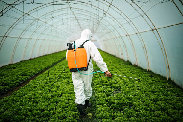 Pest Control Cost in Pleasant Hill, OH