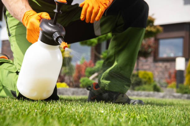 Best Cockroach Control Services  in Pleasant Hill, OH