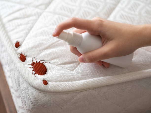 Professional Pest Control in Pleasant Hill, OH