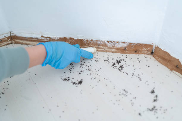 Best Residential Pest Control  in Pleasant Hill, OH